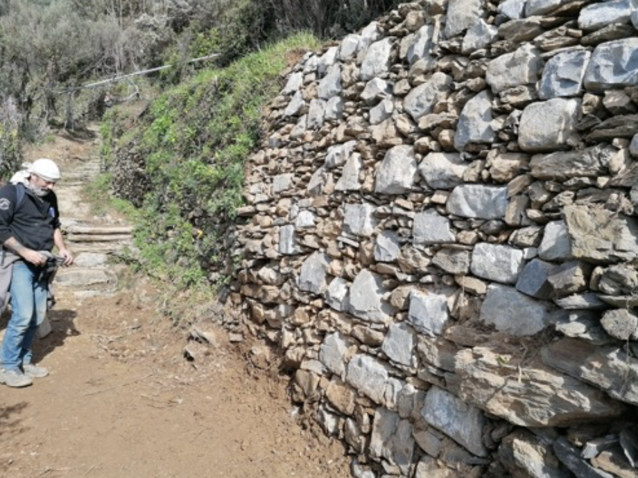592SVA Vernazza – Monterosso (Loc. Contra - 2) Ricostruzione muro a secco