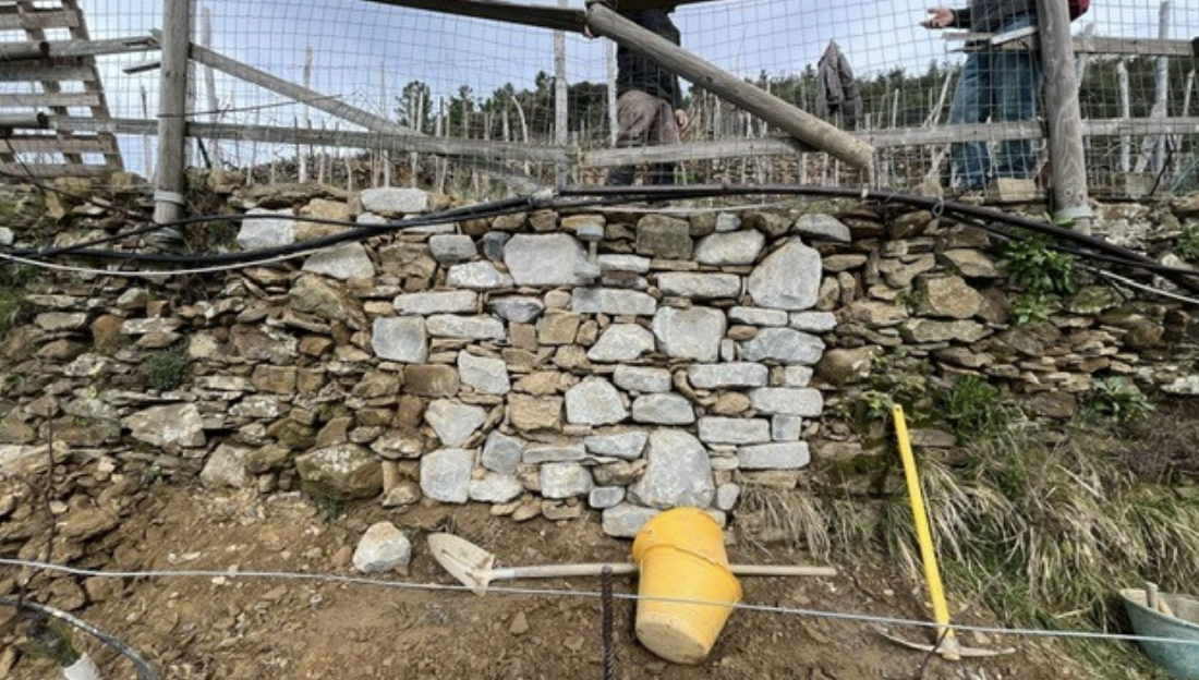 593C S.P. – Montenero (loc. Casen) Ricostruzione muro a secco