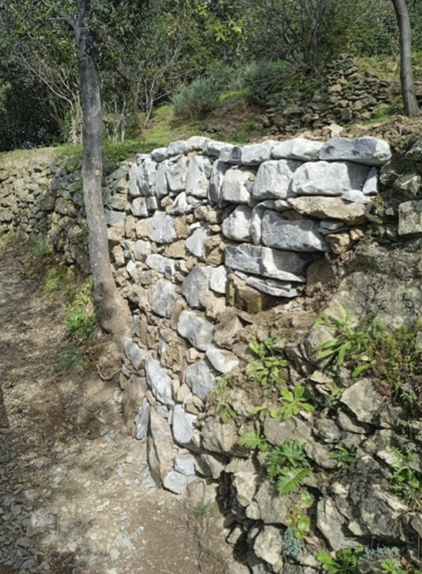 592SVA Vernazza – Monterosso (Loc. Vettora) Ricostruzione muro a secco –